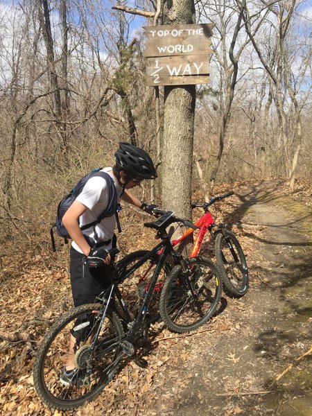 Top of the World (highest point of the trail, comes after a long climb)