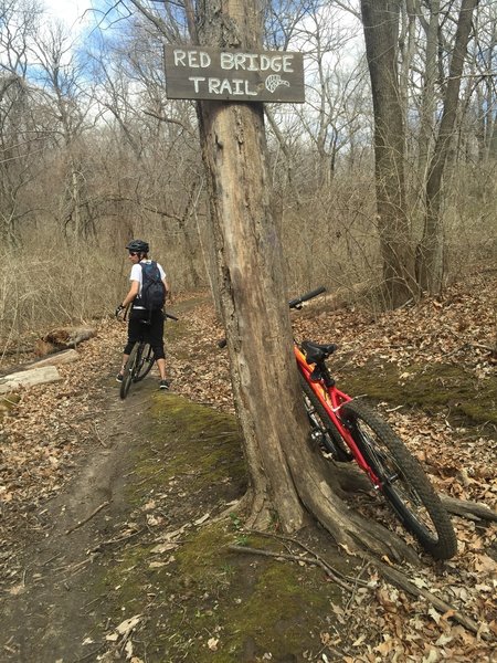 Beginning of Red Bridge Trail (features a handful of bridges, one of which happens to be painted red)