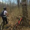 Beginning of Bridges Trail (features several narrow bridge crossings over a small creek)