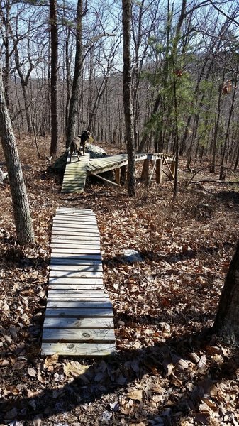 Wooden feature on Psycho Path