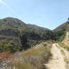 Elsmere Canyon Open Space