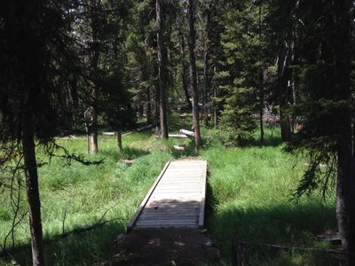 Bridge over a marshy area.