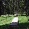 Bridge over a marshy area.