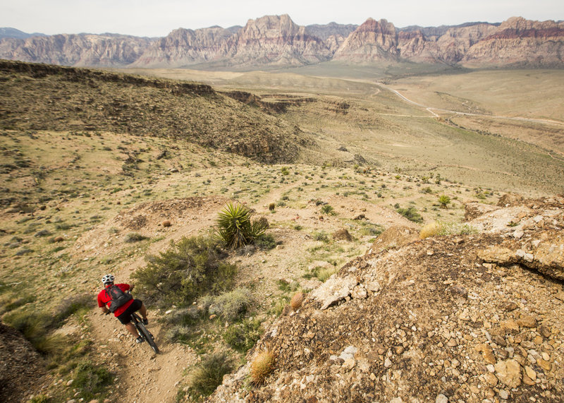 When Bomb Voyage turns to the west, it gets extra steep and spicy.