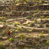 Navigating rock ledges on the Outer Loop trail.