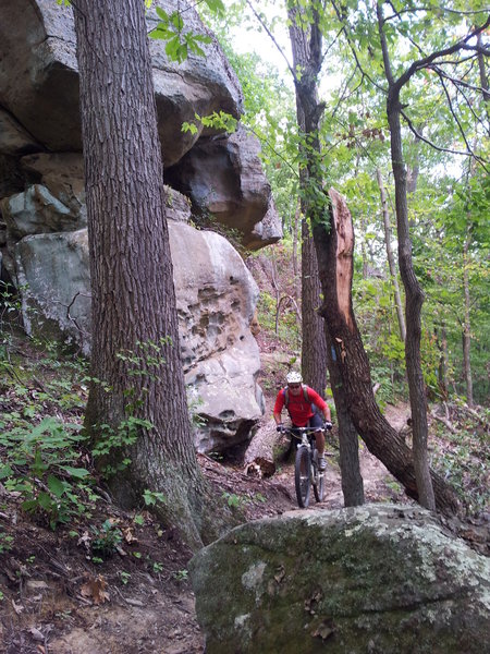 Rock outcroppings at seven caves.  Archers Fork Loop Trail