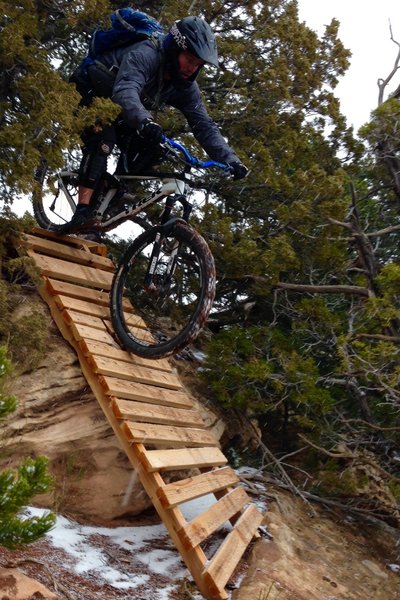 One of the built features on the Red Mountain DH-East Trail