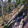 There is more than the bike park in Whistler - on the Rainbow-Sproat Flank Trail