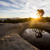 Sunrise on the North Rim trail.