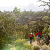 The North Rim trail has plenty of forested sections and views of Zion National Park.