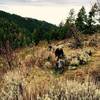 Shingle Creek climb