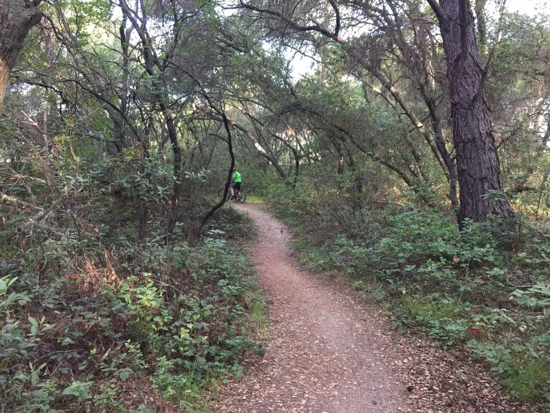 South side of Lake Natoma heading east (counterclockwise)