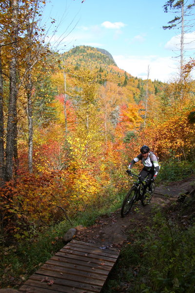 The Neilson Trail is even more spectacular in the fall