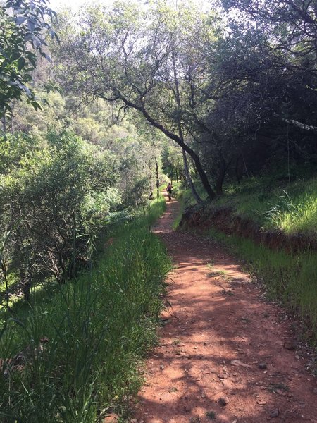 The short climb back up to Potters Point