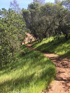 Keep the ranchers happy and close the few gates that are on the trail.