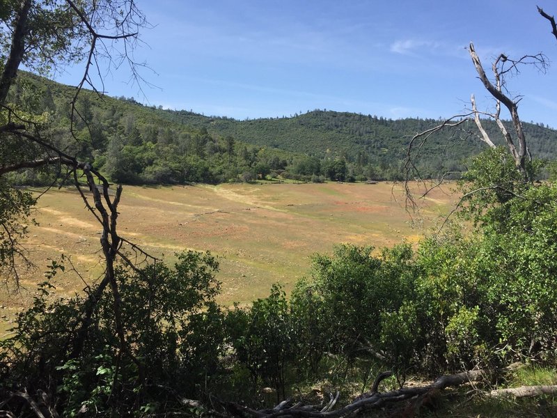 In years past this was lake level.  It's been a while since the lake has been full.