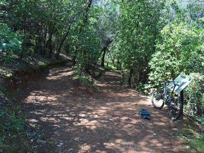 There is a map here of the trail system with distance information.