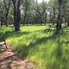 Near the junction of the climb up "Dead Cow" trail.