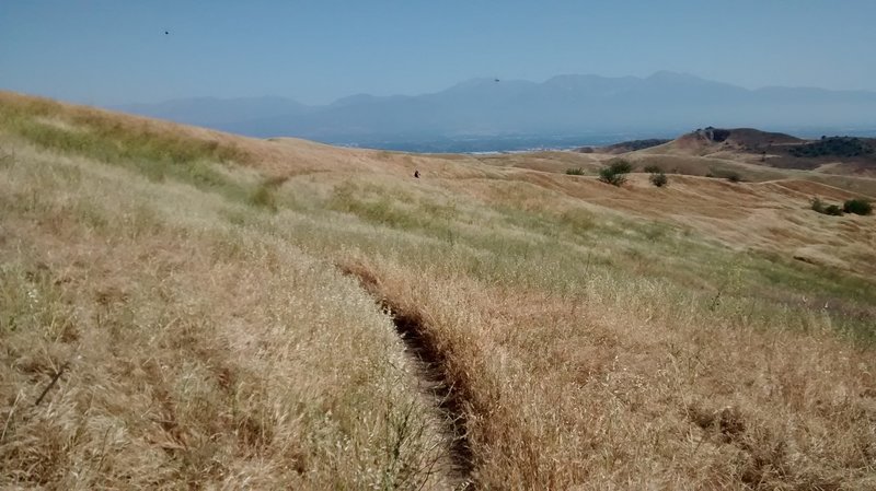 RIding partner disappearing into the distance at the start of Raptor Ridge