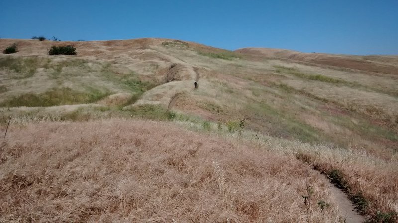 About halfway along the flowy ridge