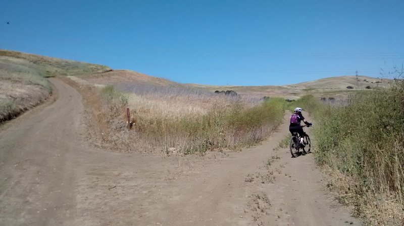 Turning right at the first fork, marked "Telegraph".