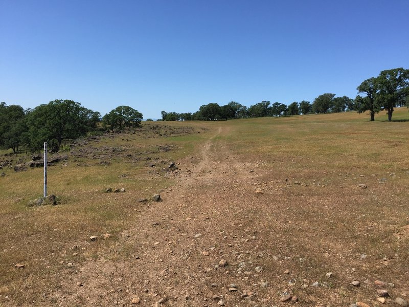 The trail continues on from this junction with Massacre Flat