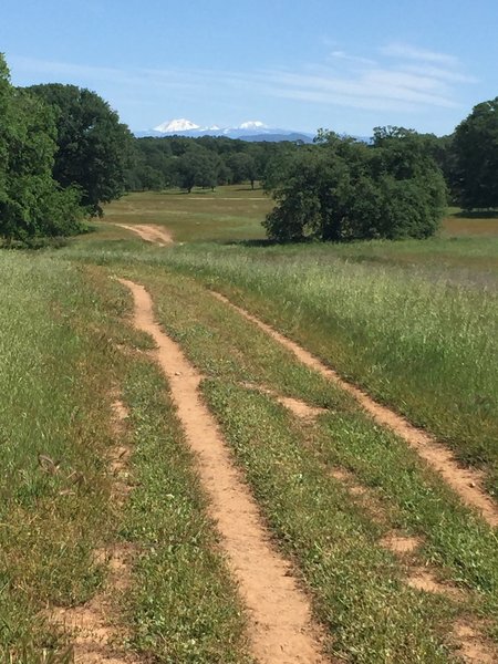 Rolling doubletrack of the Yana Trail