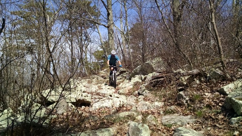 Another in the relentless series of rock gardens riders face on the County Line Trail.