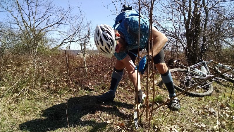 Maintenance can be tough in the backcountry, but Virginia's riders band together for a statewide trail work day on the Virginia Mountain Bike Trail in early April each year