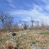 County Line Trail crossing the power line cut