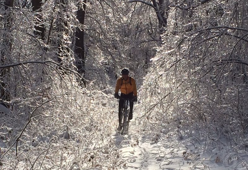 Never to cold to ride the Buffalo Trail