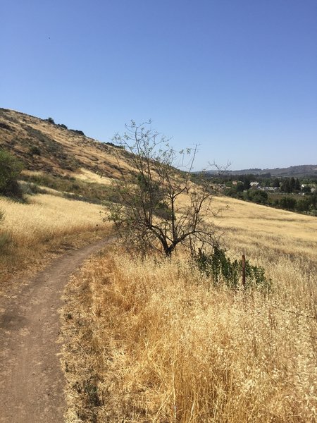 Pretty view on the Santa Rosa Trail