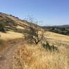 Pretty view on the Santa Rosa Trail