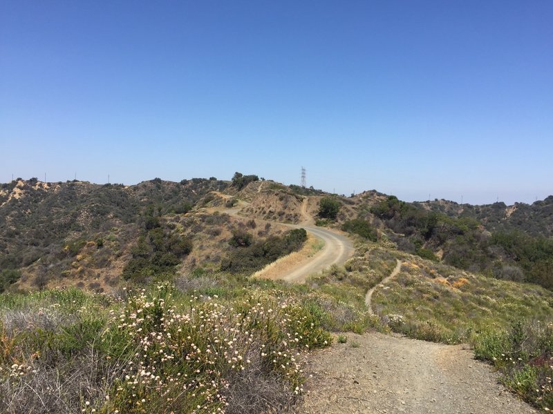 Start from the bottom on Sullivan Fire Road