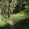 Halfway up the Bear Gulch trail