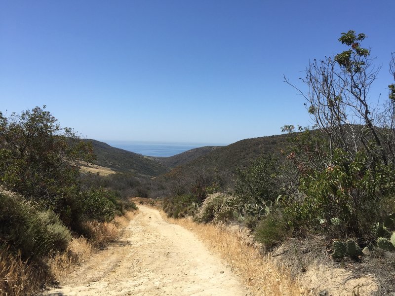 Be sure to turn around every now and then when climbing Slow 'N Easy ...great view of the Pacific Ocean!