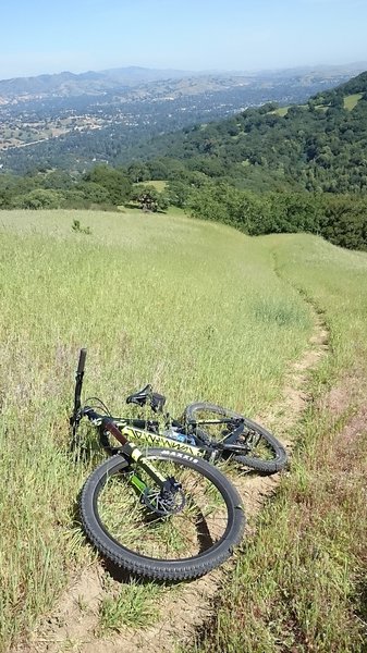 Las Trampas Madrone Loop