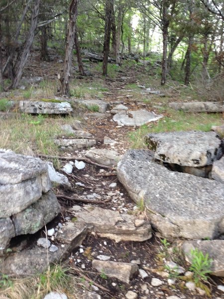 One of the many rock sections on Jack's Branch loop!