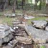 One of the many rock sections on Jack's Branch loop!