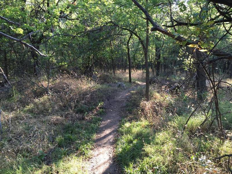 Small obstacle on the trail.  This area was a dump for when Harry St was torn out so there's concrete chunks everywhere.