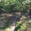 Small obstacle on the trail.  This area was a dump for when Harry St was torn out so there's concrete chunks everywhere.