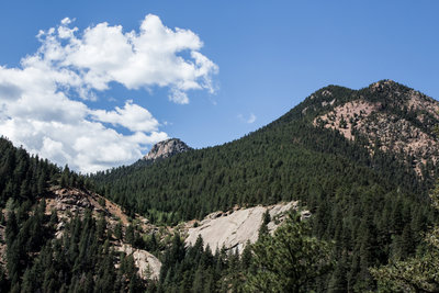 Looking up to Mt. Garfield from the Bear Creek Trail (#666)