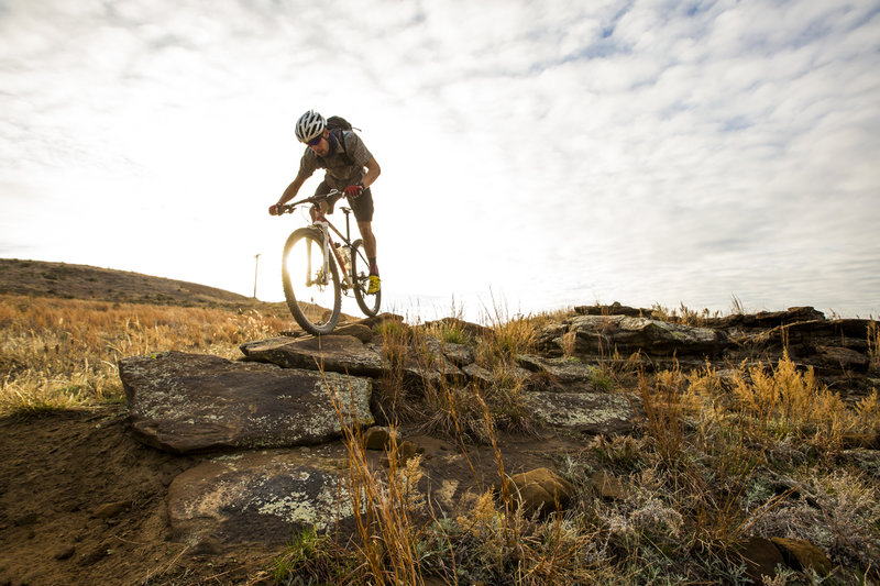 There are plenty of technical sections throughout Switchgrass.