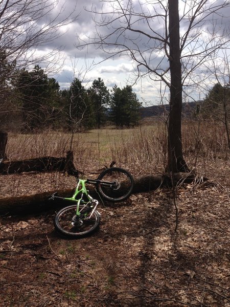 View point at trail junction