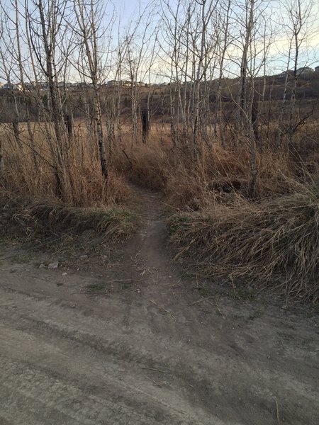 Trail entrance at west end