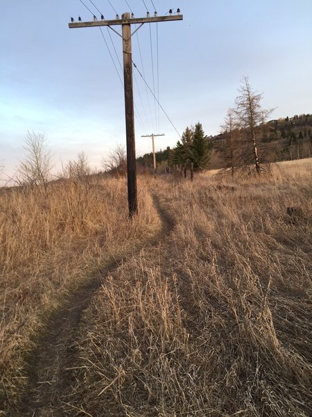 Some fast and flowy singletrack