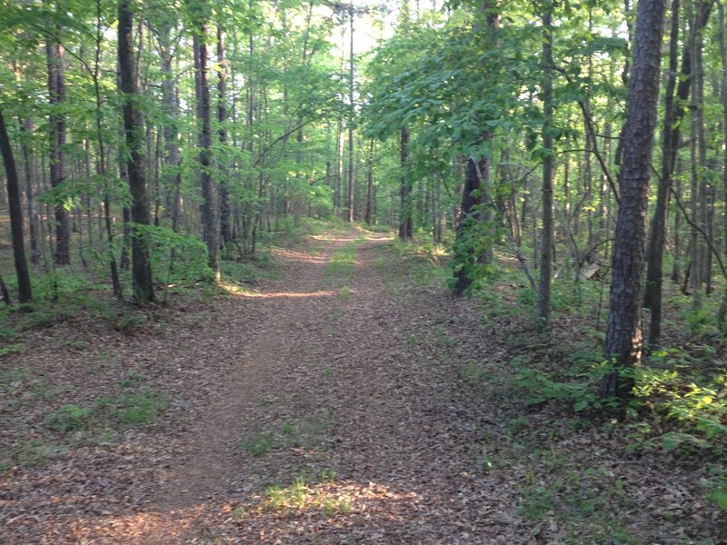 Yes, it is a service road, but it is awesome.