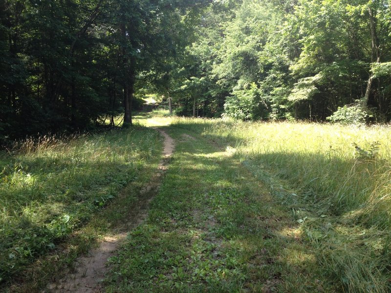 River Loop, to the left.