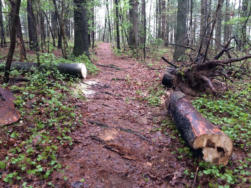 Local bike club keeping the trail clear.