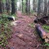 Local bike club keeping the trail clear.